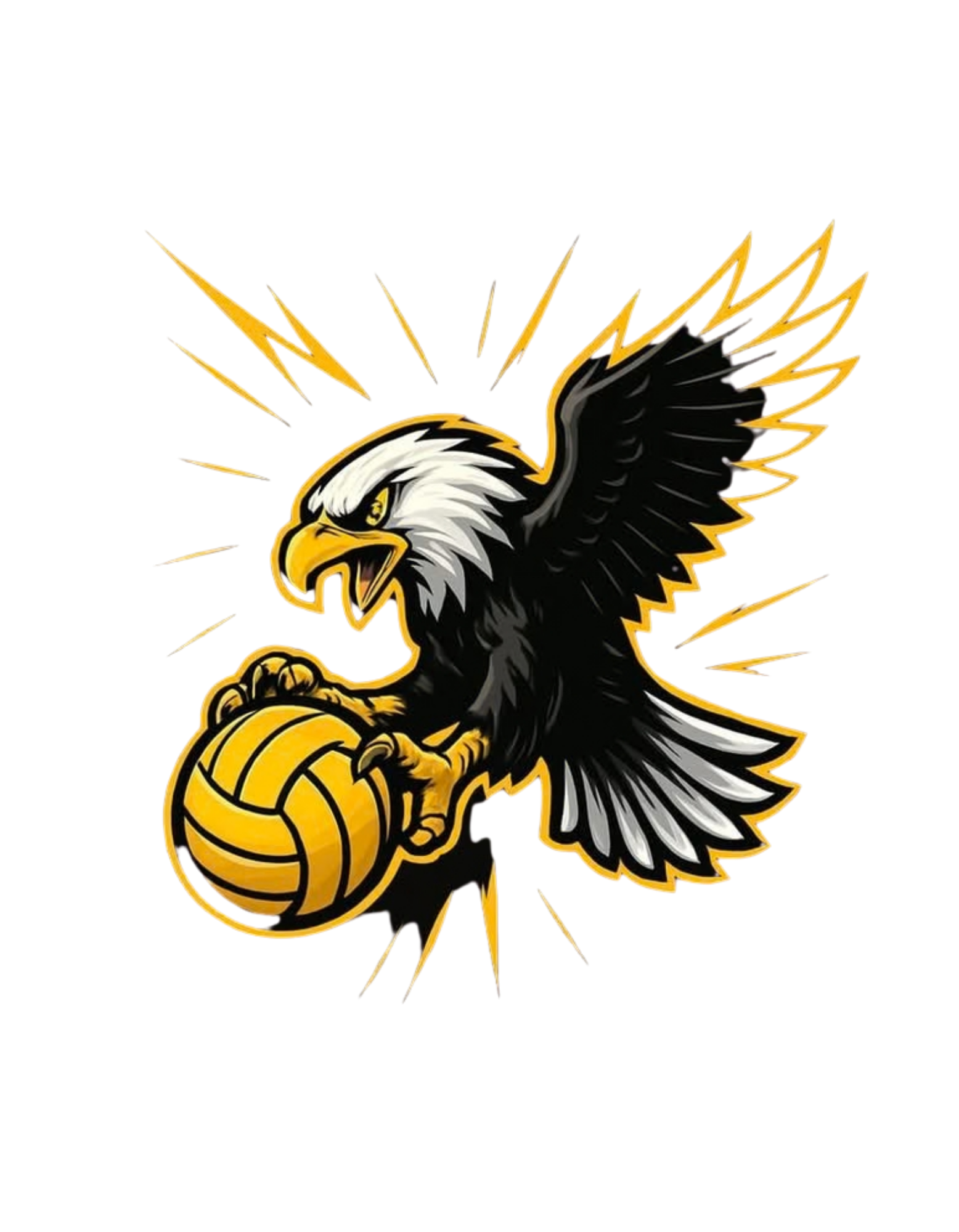 Eagles Volleyball T-Shirt graphic